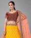 Picture of Comely Masteurd Lehenga Choli