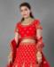 Picture of Ideal Red Lehenga Choli