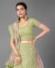 Picture of Graceful Pista Lehenga Choli