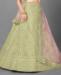 Picture of Graceful Pista Lehenga Choli