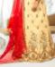 Picture of Statuesque Beige Lehenga Choli