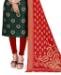 Picture of Alluring Green Cotton Salwar Kameez