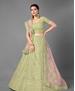 Picture of Graceful Pista Lehenga Choli