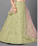 Picture of Graceful Pista Lehenga Choli