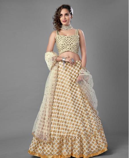 Picture of Pretty White Lehenga Choli