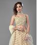 Picture of Pretty White Lehenga Choli