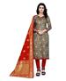 Picture of Charming Grey Straight Cut Salwar Kameez