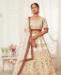 Picture of Shapely Off White Lehenga Choli