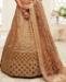 Picture of Marvelous Brown Lehenga Choli