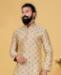 Picture of Grand Beige Kurtas