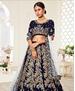 Picture of Appealing Navy Blue Lehenga Choli