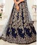 Picture of Appealing Navy Blue Lehenga Choli