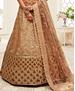 Picture of Marvelous Brown Lehenga Choli