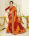 Picture of Graceful Multi Casual Saree