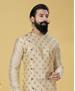 Picture of Lovely Beige Kurtas