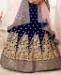 Picture of Pretty Nevy Blue Lehenga Choli