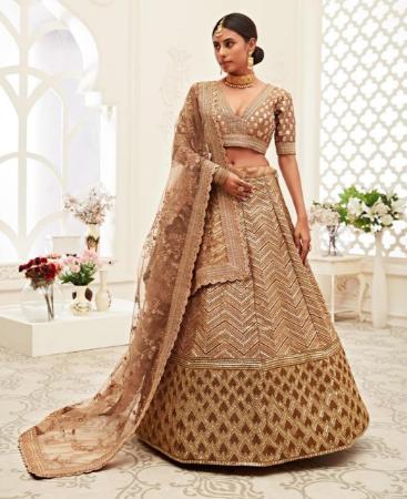 Picture of Resplendent Brown Lehenga Choli