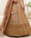 Picture of Resplendent Brown Lehenga Choli