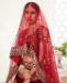 Picture of Comely Red Lehenga Choli