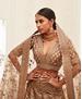 Picture of Resplendent Brown Lehenga Choli