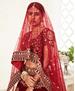 Picture of Comely Red Lehenga Choli