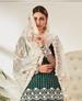 Picture of Good Looking Green Straight Cut Salwar Kameez