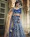 Picture of Delightful Blue Lehenga Choli