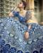 Picture of Delightful Blue Lehenga Choli