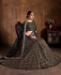 Picture of Alluring Black Lehenga Choli