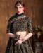 Picture of Alluring Black Lehenga Choli