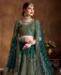 Picture of Shapely Green Lehenga Choli