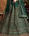 Picture of Shapely Green Lehenga Choli