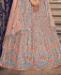 Picture of Alluring Peach Lehenga Choli