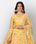 Picture of Enticing Musterd Yellow Lehenga Choli