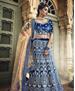 Picture of Delightful Blue Lehenga Choli