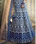 Picture of Delightful Blue Lehenga Choli