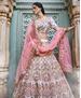 Picture of Lovely Off White Lehenga Choli