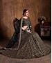 Picture of Alluring Black Lehenga Choli