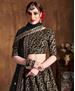 Picture of Alluring Black Lehenga Choli