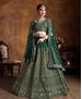 Picture of Shapely Green Lehenga Choli