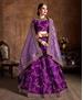 Picture of Taking Purple Lehenga Choli