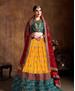 Picture of Delightful Yellow Lehenga Choli