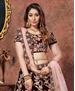 Picture of Lovely Dark Maroon Lehenga Choli