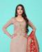 Picture of Bewitching Grey Straight Cut Salwar Kameez