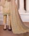 Picture of Ideal Brown Straight Cut Salwar Kameez