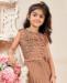 Picture of Sightly Brown Kids Gown