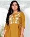 Picture of Shapely Brown Kurtis & Tunic