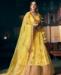 Picture of Magnificent Yellow Lehenga Choli