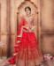 Picture of Beauteous Red Lehenga Choli