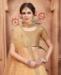 Picture of Grand Beige Lehenga Choli